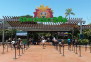 San Diego Zoo entrance - Smith's Color Shield (Nature Shield mixed with Color Floor CF-230 Terra Cotta) over salt finish concrete